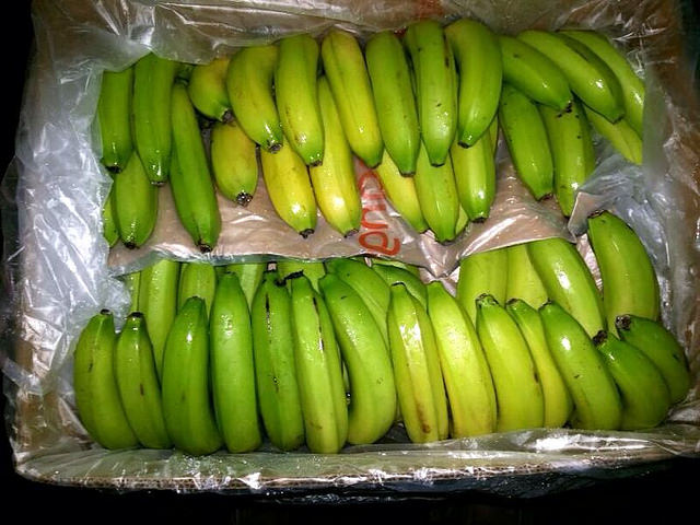 Ripening bananas in a box