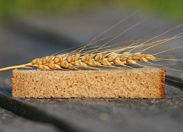 A slice of whole wheat bread with the spike of a wheat plant on top of the slice.