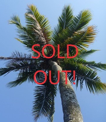 Palm trees with "SOLD OUT" over image