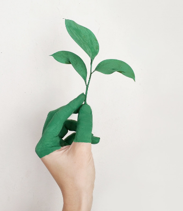 Supply Chain Scene, image of a green hand holding a plant