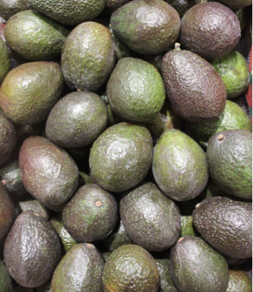 Supply Chain Scene, image of a pile of avacados