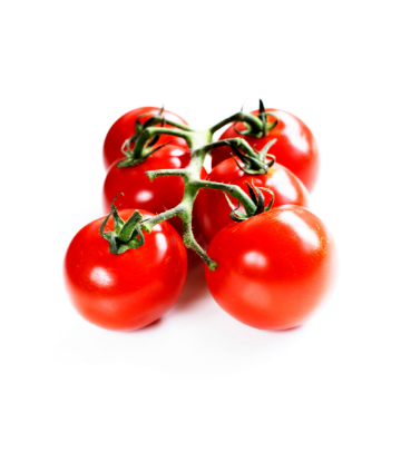 Supply Chain Scene, image of tomatoes