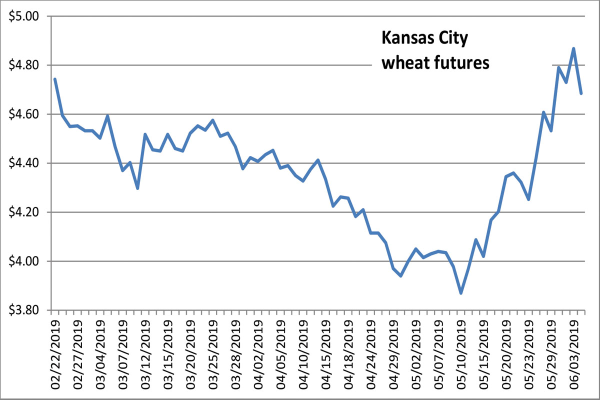 Supply Chain Scene, Graph of Kansas City Wheat Futures 