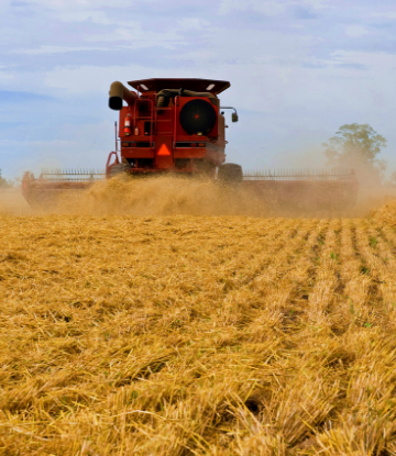Supply Chain Scene, image of a combine in a wheat field 