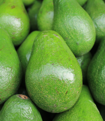 Supply Chain Scene, image of a pile of avocados 