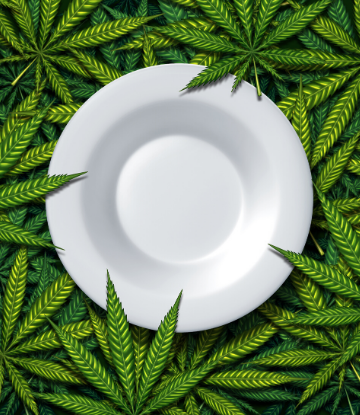 Supply Chain Scene, image of a dinner plate surrounded by cannabis leaves
