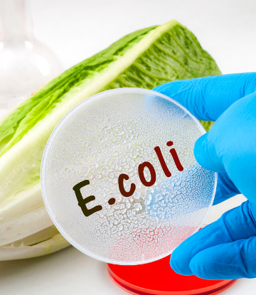 SCS, image of romain lettuce next to a lab test marked E. coli 