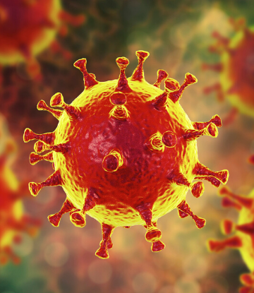SCS, color microscopic image of the coronavirus 