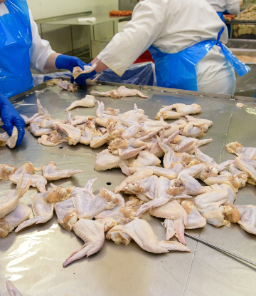 SCS, image of workers processing chicken parts 
