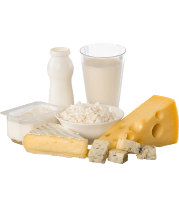 Image of an assortment of dairy products, milk and cheese 