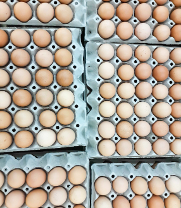 Image of open flat cartons of eggs 