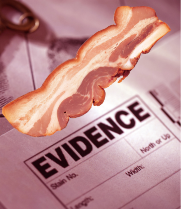 A strip of bacon over a police evidence report 