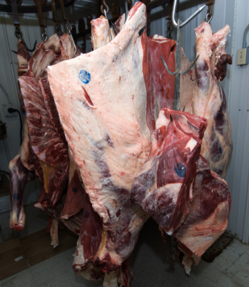Supply Chain Scene, image of frozen beef sides