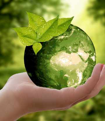 Supply Chain Scene, image of a hand holding a glass globe with a green plant growing from it 