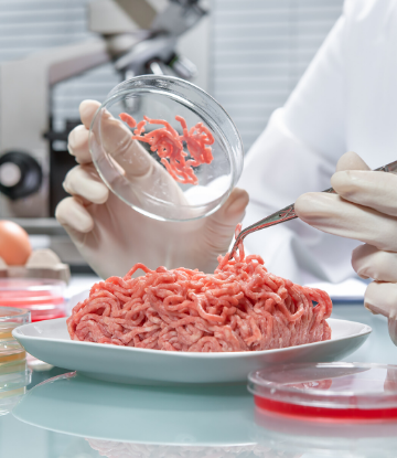 SCS, image of raw ground beef in a lab with microscope 