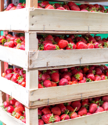 SCS, image of stacking crates of strawberries 