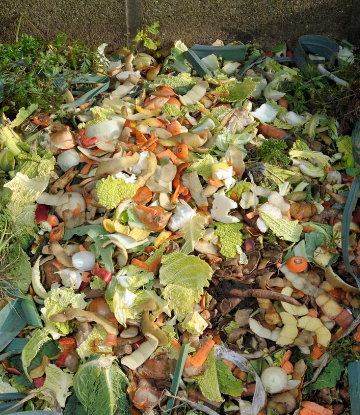 Image of a pile of vegetable scraps 