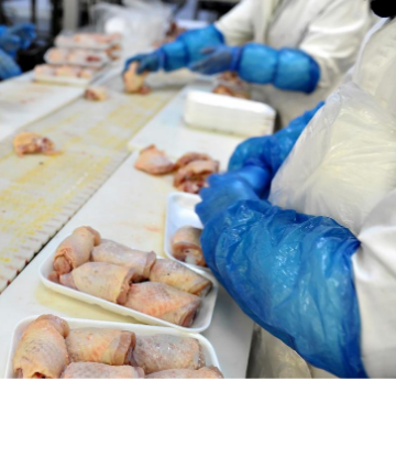 SCS, image of a poultry processing line 