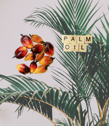Image of a palm tree with letters that spell out PALM OIL 