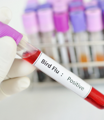 Image of a test vial that reads BIRD FLU POSITIVE 