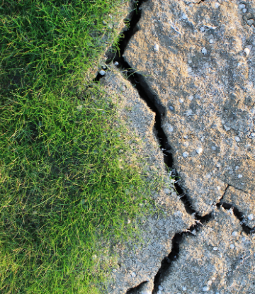 Image of green grass next to deeply cracked dry dirt 