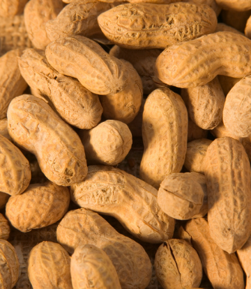 Image of peanuts in the shell 
