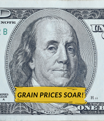 Closeup image of Ben Franklin on $100 bill with words GRAIN PRICES SOAR