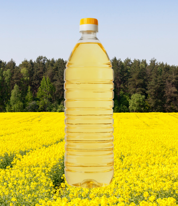 Image of a canola flower field and a clear bottle of canola oil 