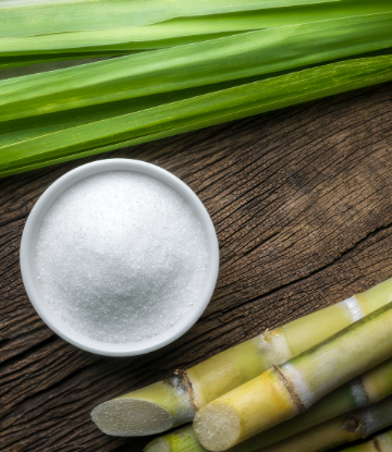 Image of raw sugar cane along with a bowl of white refined sugar