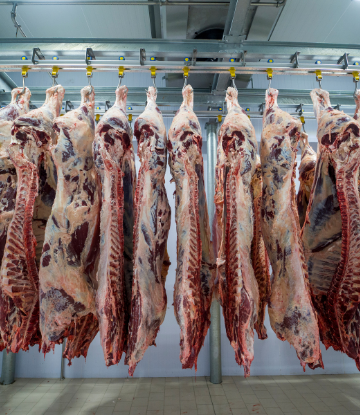 Image of hanging meat 