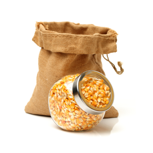 Image of shelled corn in a small jar next to large burlap bag