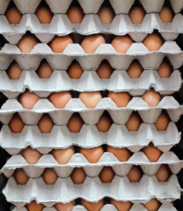 Image of a large stack of crated eggs