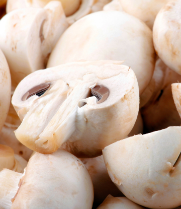 Image of white fresh mushrooms