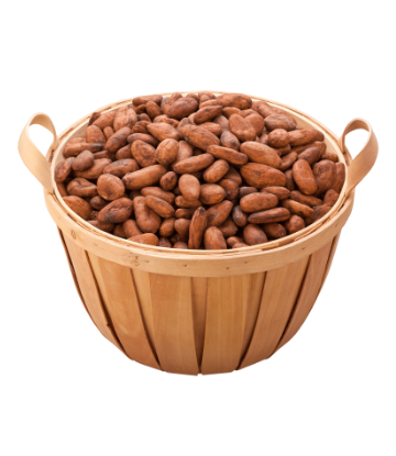 A bushel basket of raw cocoa beans 