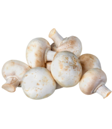 Image of fresh white whole mushrooms 
