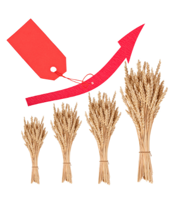Wheat with a red arrow point upward 