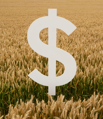 Dollar sign in front of a field of wheat 