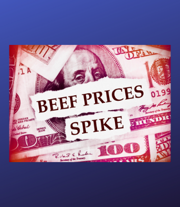 Beef Prices Spike