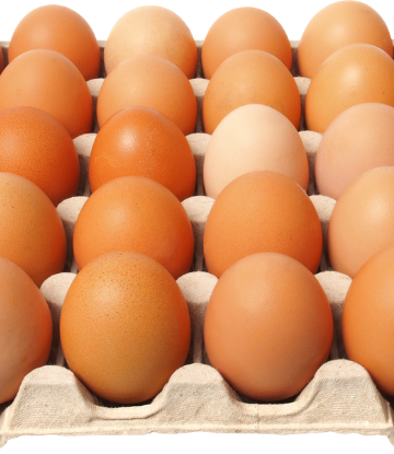 Fresh eggs in flat pallet carton