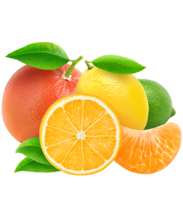 bright photo of fresh citrus 