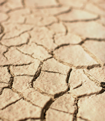 dry ground in drought 