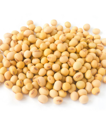 a pile of soybeans 