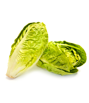 Whole romaine lettuce 