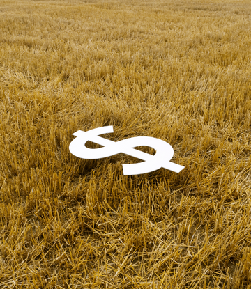 Wheat field with a dollar sign on it 