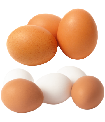 Fresh whole brown and white eggs 