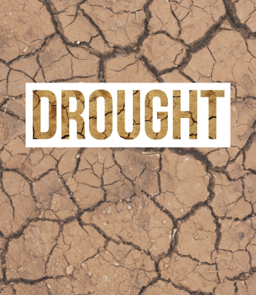 Dry cracked ground with the word DROUGHT 