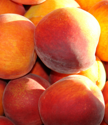 fresh whole peaches 