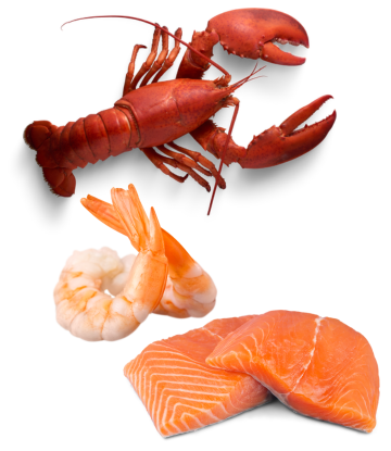 lobster, shrimp and salmon