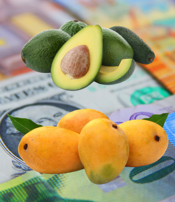 mangos and avocados on top of currency 