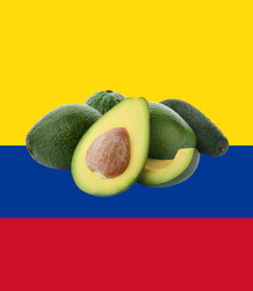 fresh avocados with columbian flag colors 